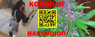 сатива Апшеронск