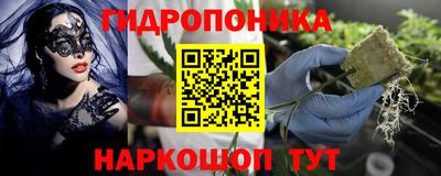 сатива Апшеронск