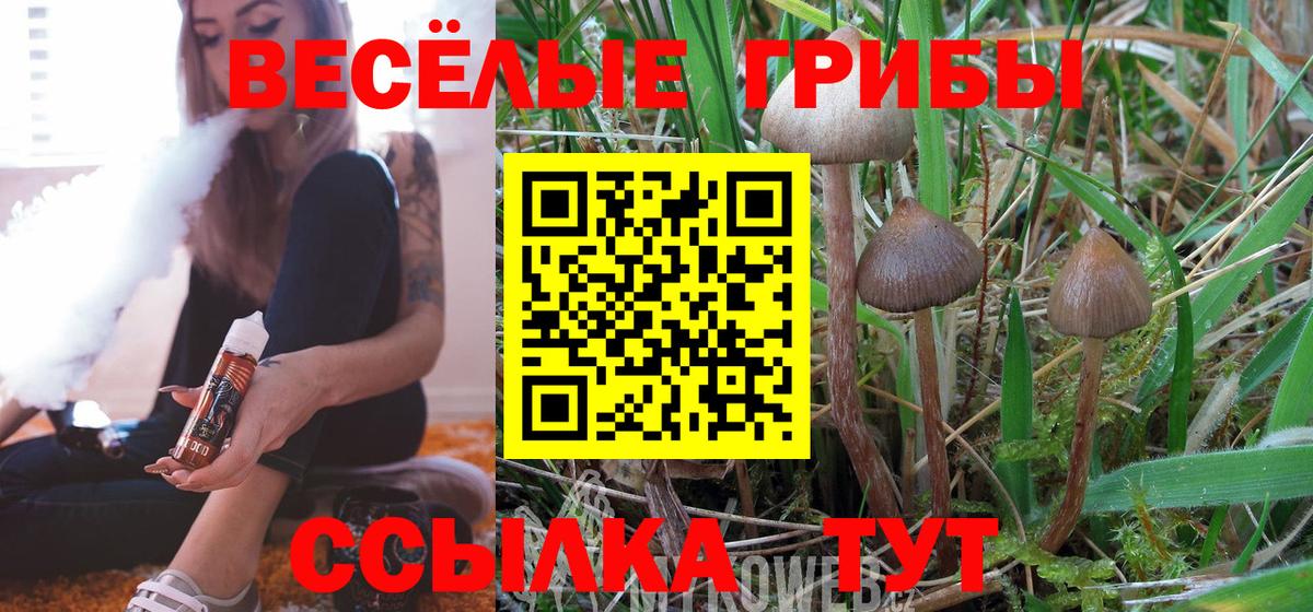 Великий Устюг  дарнет шоп  Псилоцибиновые грибы мухоморы  Вход с VPN  Галлюциногенные грибы прущие грибы 